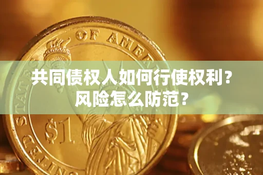 北京共同债权人如何行使权利？风险怎么防范？