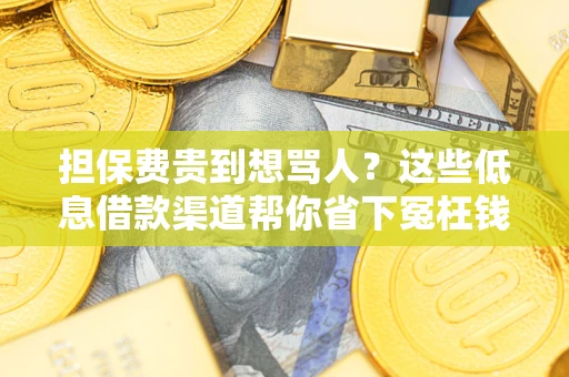 北京担保费贵到想骂人？这些低息借款渠道帮你省下冤枉钱