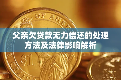 北京父亲欠贷款无力偿还的处理方法及法律影响解析