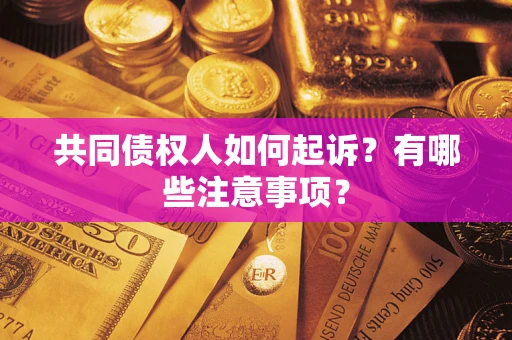 北京共同债权人如何起诉？有哪些注意事项？